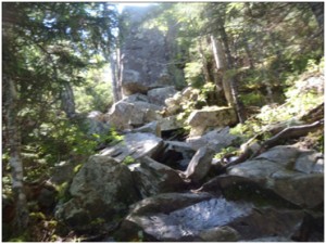 Untitled-12